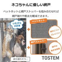画像336