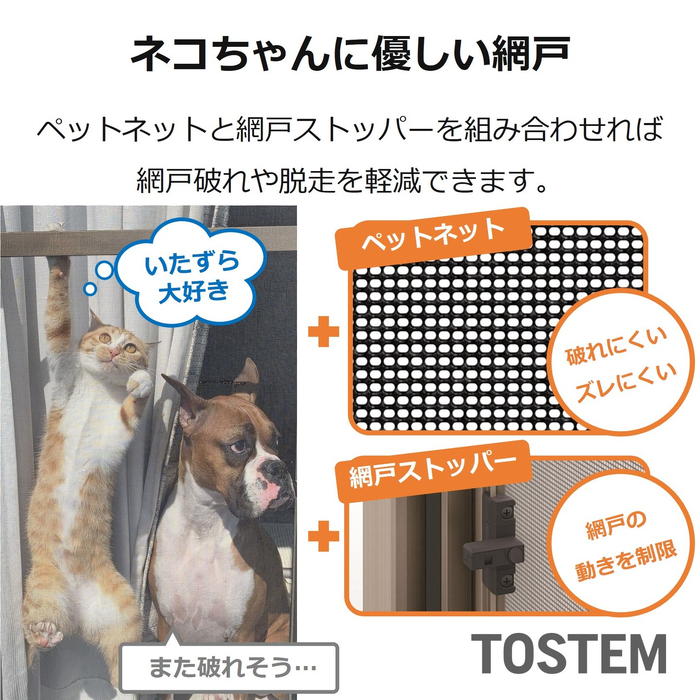画像336
