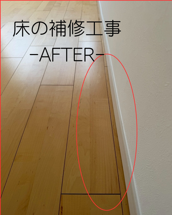 画像608