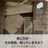 画像764