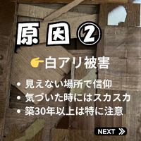 画像766