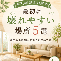 画像978