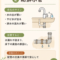 画像981